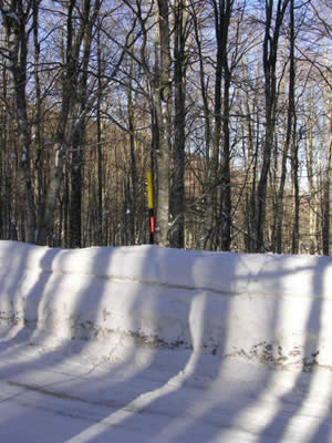 Un metro e mezzo di neve